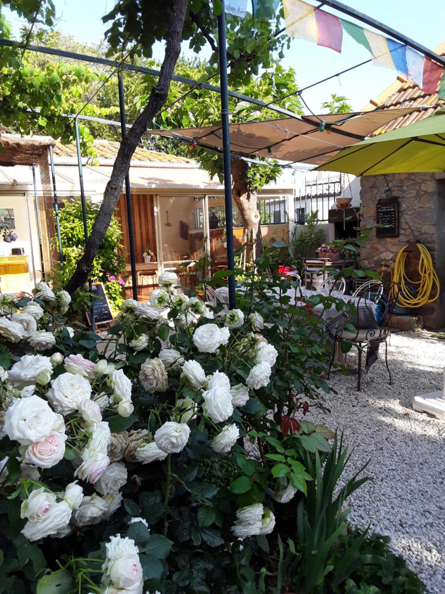 Hotel Les Terres Basses Fabrezan Esterno foto
